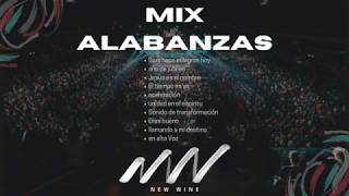 MÚSICA CRISTIANA  ALABANZAS  New Wine  MIX  GOZO [upl. by Nuawd]