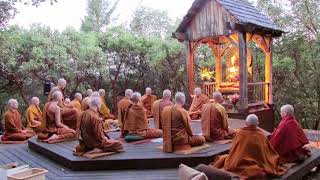 Pali Chanting In The Abhayagiri Buddhist Monastery  Theravada Buddhism [upl. by Akina]