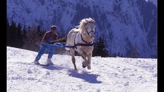 Skijoring  The Incredible Horse Skiing Sport [upl. by Amalbergas]