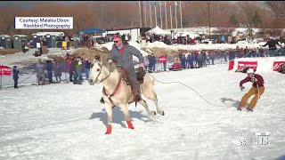 Skijoring in Utah [upl. by Nahc]