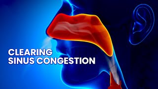 Sinus Relief Music Healing Frequency for Nasal Congestion [upl. by Cyndy688]