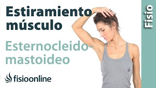 Automasaje para músculo esternocleidomastoideo  Relajar tensión cervical [upl. by Marlon]