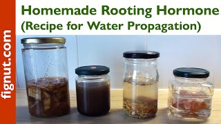 Homemade Rooting Hormone Recipe for Water Propagation [upl. by Llenral795]