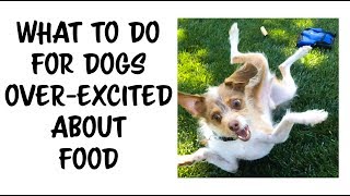 How to train a dog OVER EXICTED by FOOD to be CALM [upl. by Sonya]