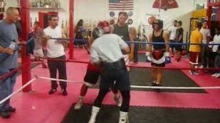 Boxing  Amateur vs Professional Sparring [upl. by Aelam96]