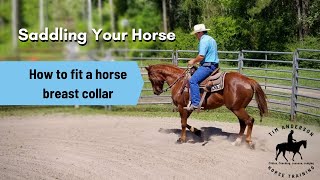 Saddling your horse  How to fit a breast collar [upl. by Mellar]