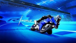 2020 Yamaha R6 Respect R World [upl. by Acinomal771]