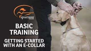 Basic Training  Getting Started with an ECollar [upl. by Eiramanitsirhc]