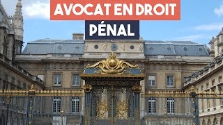 Avocats  la spécialité droit pénal [upl. by Emmer]