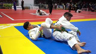 2019 Ontario Open  Kids JiuJitsu Tournament Highlights [upl. by Eneleuqcaj]