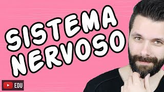 SISTEMA NERVOSO  FISIOLOGIA  Aula  Biologia com Samuel Cunha [upl. by Eceinert782]