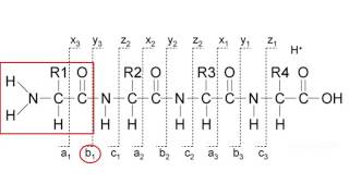 Mass spectrometry for proteomics  part 2 [upl. by Elfrieda]