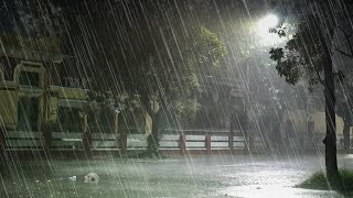 Rain Wind and Tropical Storm  Heavy Rain Sounds for Sleeping  Deep Thunder amp Thunderstorm Noise [upl. by Tammany]