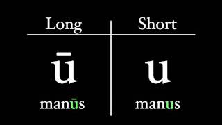 The Latin Alphabet  Vowel Pronunciation [upl. by Lenard]