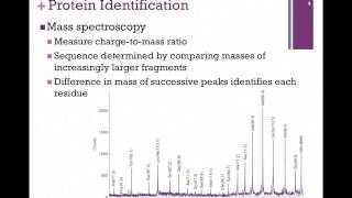 023Mass Spectroscopy [upl. by Najar]