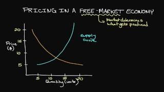 Pricing in a FreeMarket Economy [upl. by Paschasia]