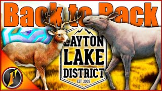 BACK TO BACK Trophies  Diamond Whitetail amp Albino Moose [upl. by Stich587]