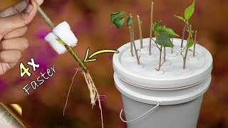 FASTEST METHOD OF ROOTING PLANT CUTTINGS  DIY HYDROPONIC CLONER [upl. by Aikar110]