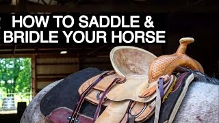 HOW TO TACK UP YOUR HORSE WESTERN [upl. by Sivam521]