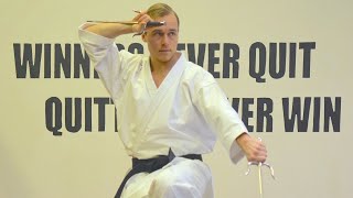 SAI Weapon Tutorial Okinawa Kobudo by Jesse Enkamp [upl. by Eirrak]