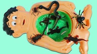 Mr Play Doh Heads Slime Belly Full Of Gross Bugs And More [upl. by Deeann373]