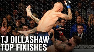 Top Finishes TJ Dillashaw [upl. by Normie]