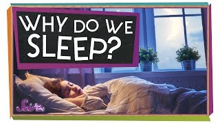 Why Do We Need Sleep [upl. by Elladine]