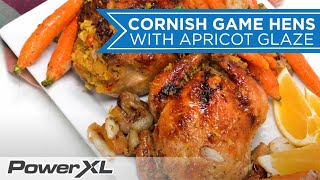 Golden Crisp Cornish Hens I PowerXL Vortex Air Fryer Recipes [upl. by Kylstra226]