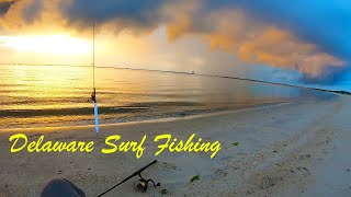 Delaware Surf Fishing  5 Species Caught [upl. by Baruch]