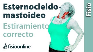 Cómo estirar correctamente el músculo esternocleidomastoideo [upl. by Bollinger409]