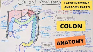 Lecture 83 Intestinal Resection and Anastomosis [upl. by Bozuwa926]