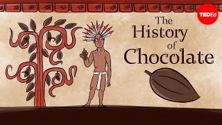 The history of chocolate  Deanna Pucciarelli [upl. by Virg422]