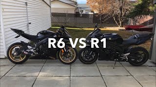 What’s Better Yamaha R6 VS R1 Real World Review [upl. by Amyaj]