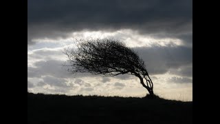 Best Howling Wind and Rain Storm  Over 9 Hours of Intense Thunderstorms  Black Screen for Sleep [upl. by Kinna968]