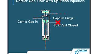 Gas ChromatographyMass Spectrometry GCMS Principles amp Techniques [upl. by Adnauqaj613]