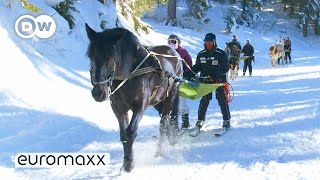 The Traditional Winter Sport Of Skijoring [upl. by Marylee524]