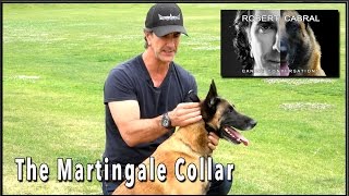 The Martingale Collar  Dog Training Equiptment [upl. by Amarillis]