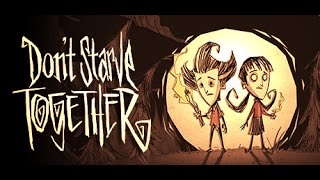 Dont Starve Together How to play using Hamachi [upl. by Aicertap]