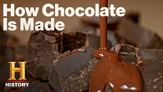 Modern Marvels The Art of Chocolate Making From Bean to Bar Season 18  History [upl. by Ryley]