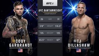 Cody garbrandt vs TJ Dillashaw full fight ufc 217 [upl. by Nimra257]