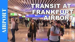 TRANSIT WALK AT FRANKFURT Airport FRA Terminal 1  Connection Flight Transfer Arriving amp Departing [upl. by Stagg]