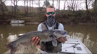 Staunton River Walleye Fishing [upl. by Grannie661]