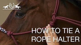 How to Tie a Rope Halter [upl. by Tildi]